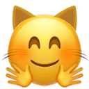 hugging cat face Slack emoji