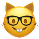 nerd cat face Slack emoji