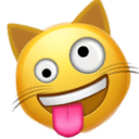 zany cat face Slack emoji
