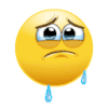 cry Slack emoji