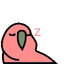 sleeping parrot Slack emoji
