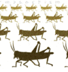 locust swarm Slack emoji
