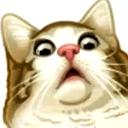 catgasp Slack emoji