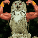 owl with muscly arms Slack emoji