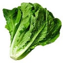 romaine Slack emoji