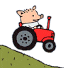 peter the pig Slack emoji