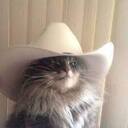 gatinhocowboy Slack emoji