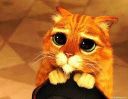 pussinboots Slack emoji