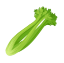 celery2 Slack emoji