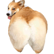 corgibutt Slack emoji
