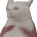 cute cat confused Slack emoji