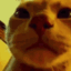 cat vibin Slack emoji
