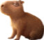 capybara encanto Slack emoji
