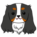 ckcs tricolor Slack emoji