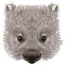 wombat head Slack emoji