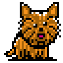 yorkie yorky Slack emoji