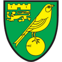 norwich city Slack emoji