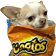 cheetos pup Slack emoji