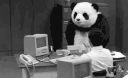 pandafliptbl Slack emoji