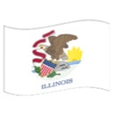 illinois Slack emoji
