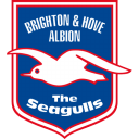 brighton hove albion Slack emoji