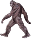 sasquatch Slack emoji