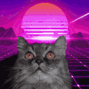cat vapor Slack emoji
