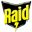 raid Slack emoji