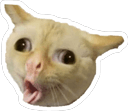 coughingcat Slack emoji