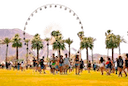 coachella Slack emoji
