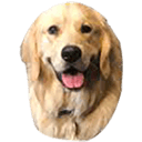 bailey Slack emoji