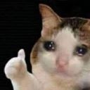thumbs up crying cat Slack emoji