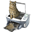 cat photocopier mischief Slack emoji