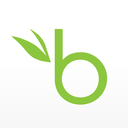 bamboohr Slack emoji