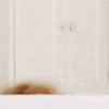 mrs doubtfire hello Slack emoji