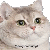 catshake Slack emoji