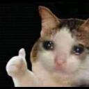 nicecat Slack emoji