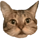 el tigre Slack emoji