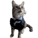 tabby tux Slack emoji