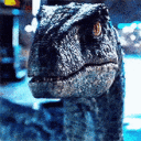 raptor Slack emoji