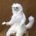 persianroomcatguardian Slack emoji