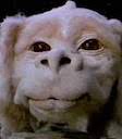 falcor Slack emoji