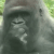 gorillhuh Slack emoji