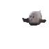 bouncingseal Slack emoji