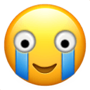 lolsob2 Slack emoji