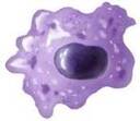 macrophage Slack emoji