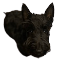 scottishterrier Slack emoji