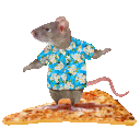 rat pizza surfing Slack emoji
