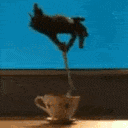 monkeypaw Slack emoji