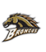 westernmichigan Slack emoji